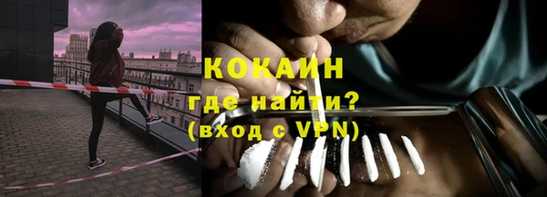 стаф Магас