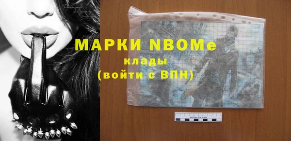 стаф Магас