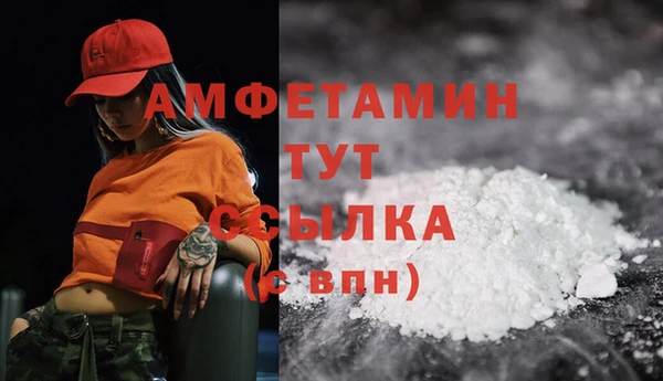 стаф Магас