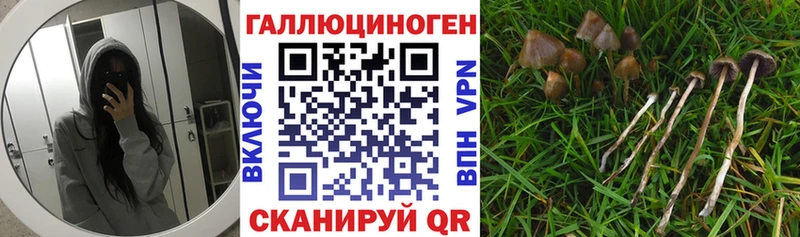 Галлюциногенные грибы мухоморы  Серпухов 