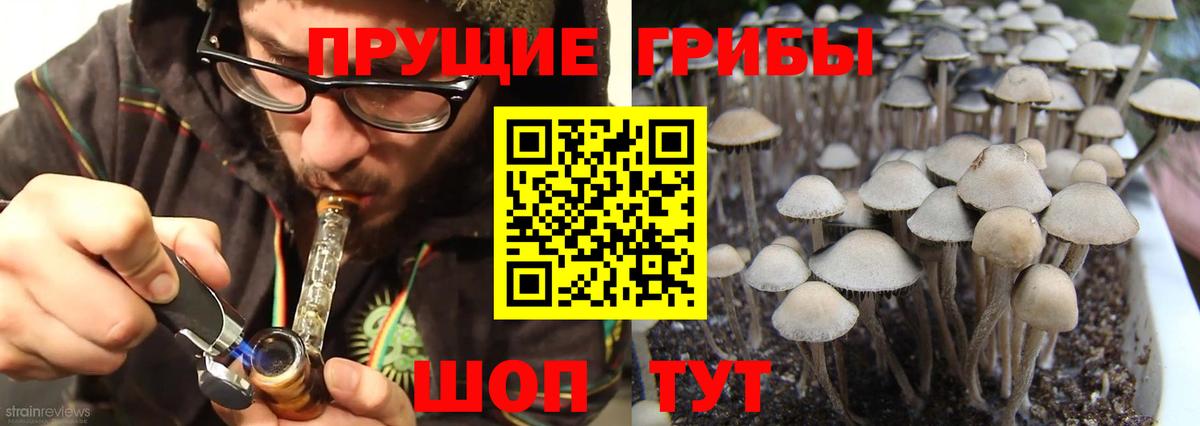 Галлюциногенные грибы Cubensis Серпухов