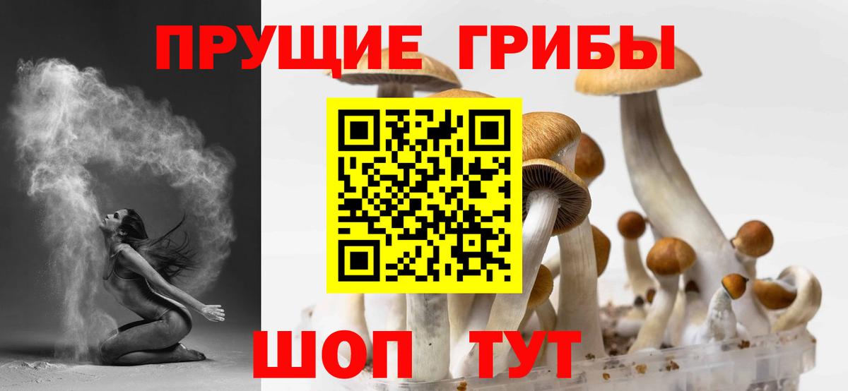 Серпухов  Галлюциногенные грибы MAGIC MUSHROOMS  Вход с VPN 